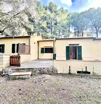 Foto annuncio 5