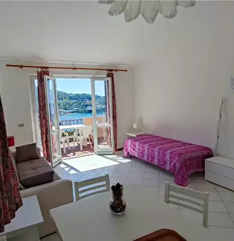 Foto annuncio 6