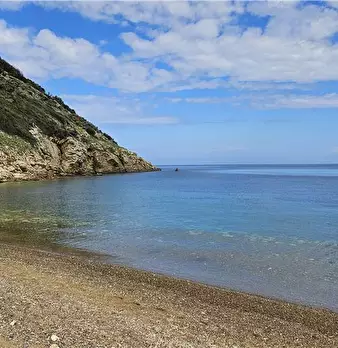 Foto annuncio 6