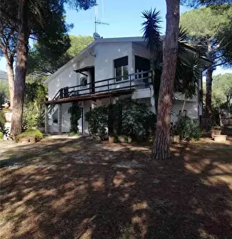 Foto annuncio 6
