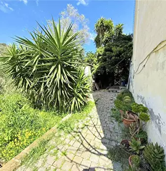 Foto annuncio 8