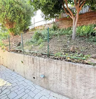Foto annuncio 12