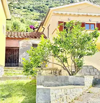 Foto annuncio 1