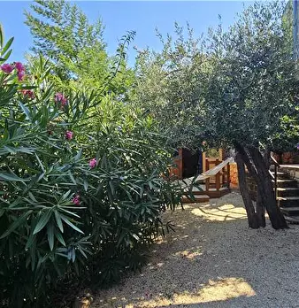 Foto annuncio 3