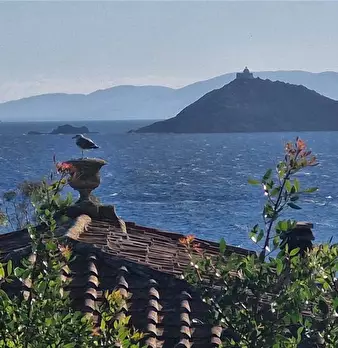 Foto annuncio 1