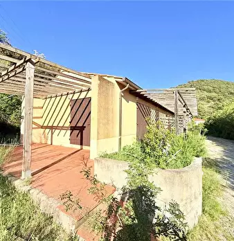 Foto annuncio 5