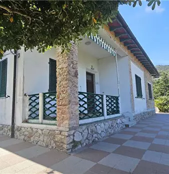 Foto annuncio 5