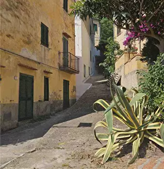 Foto annuncio 3