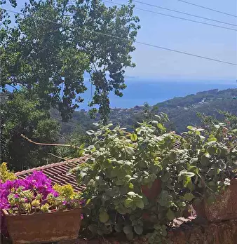 Foto annuncio 4