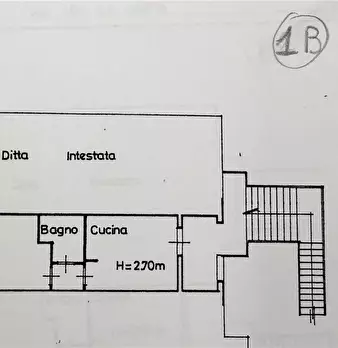 Foto annuncio 5