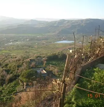 Foto annuncio 4