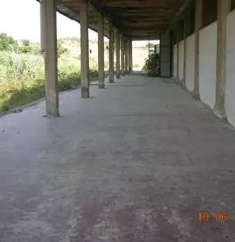 Foto annuncio 5