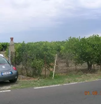 Foto annuncio 3