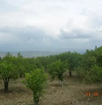 Foto annuncio 4