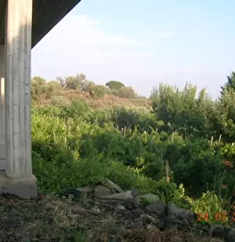 Foto annuncio 4