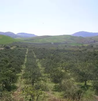 Foto annuncio 1