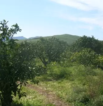 Foto annuncio 3