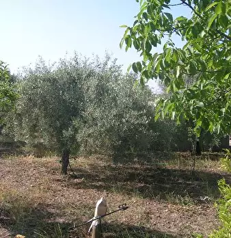 Foto annuncio 4