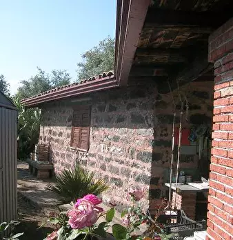 Foto annuncio 5