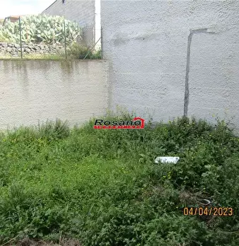 Foto annuncio 4