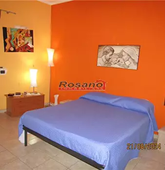 Foto annuncio 5