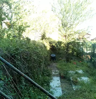 Foto annuncio 2