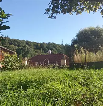 Foto annuncio 5