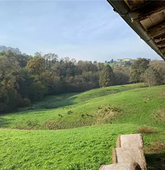 Foto annuncio 8