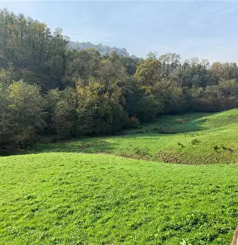 Foto annuncio 9