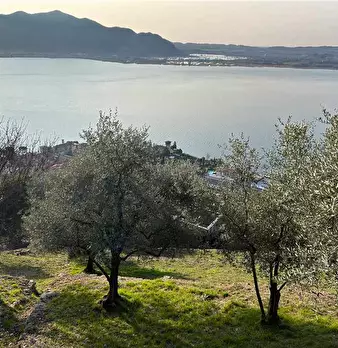 Foto annuncio 10