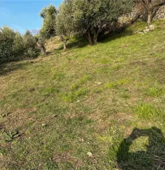 Foto annuncio 11