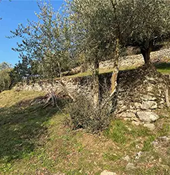 Foto annuncio 13