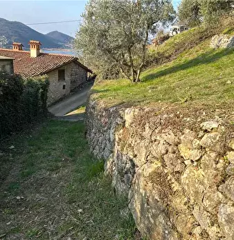 Foto annuncio 14