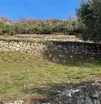 Foto annuncio 15