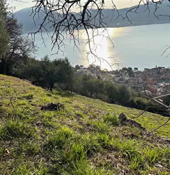 Foto annuncio 3
