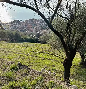 Foto annuncio 4