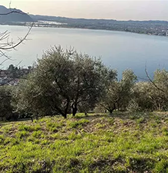 Foto annuncio 7