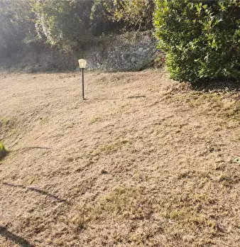 Foto annuncio 4