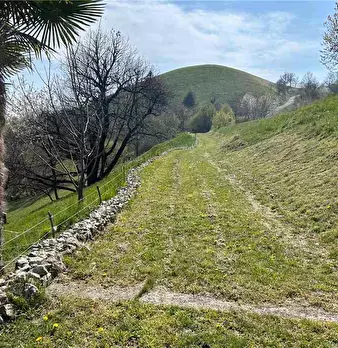 Foto annuncio 3