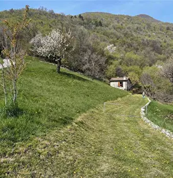 Foto annuncio 5
