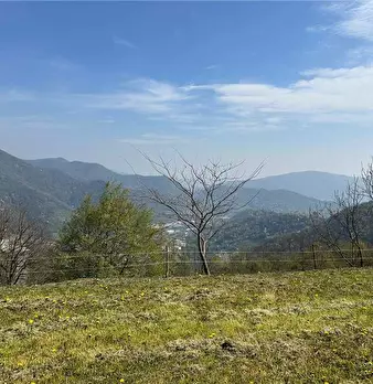 Foto annuncio 7