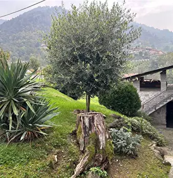 Foto annuncio 8
