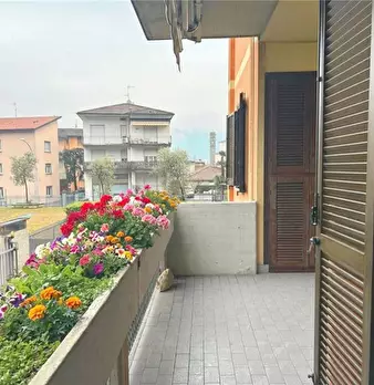 Foto annuncio 8