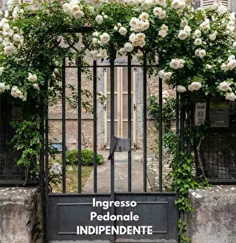 Foto annuncio 4