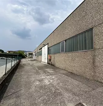 Foto annuncio 11
