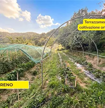 Foto annuncio 6