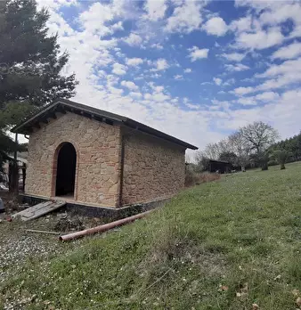 Foto annuncio 12