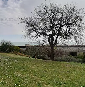 Foto annuncio 25