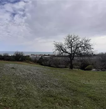 Foto annuncio 27