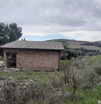 Foto annuncio 28